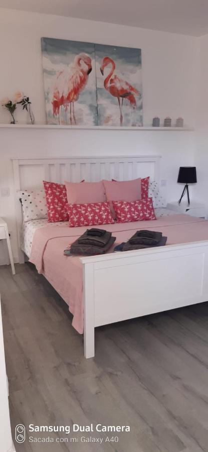 Ca Na Xisca Hébergement de vacances Felanitx